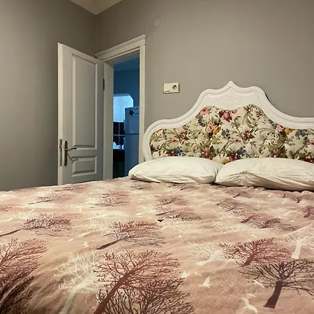 公寓式酒店 Taksim Cmlm 伊斯坦布尔